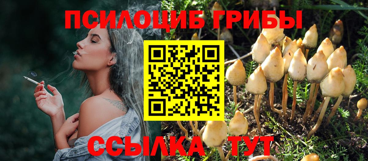 Псилоцибиновые грибы Magic Shrooms  Вход с VPN  Красноармейск 