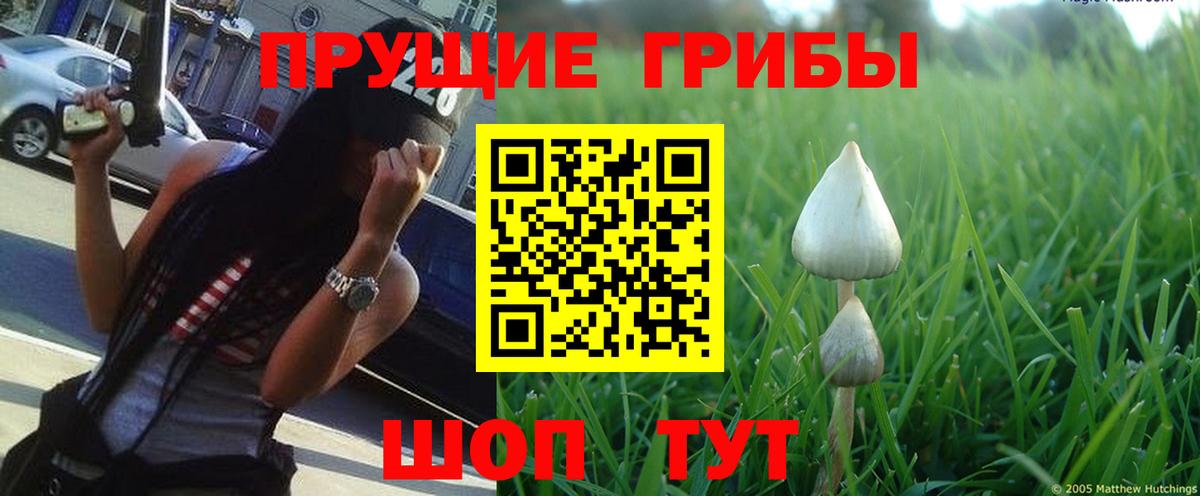 Галлюциногенные грибы прущие грибы Красноармейск